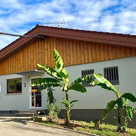 Pension Am Hohberghof Dielheim Buitenkant foto