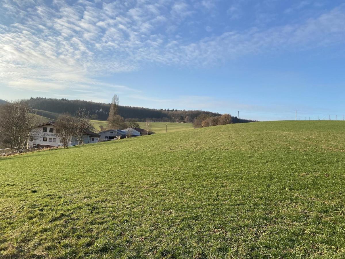 Pension Am Hohberghof Dielheim Buitenkant foto